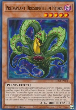 Predaplant Drosophyllum Hydra⁣ - Legendary Duelists: Season 3⁣ (Common)⁣ [070]