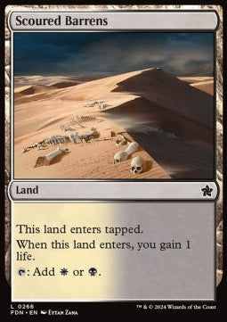 Scoured Barrens⁣ - Magic: The Gathering Foundations⁣ (Common)⁣ [266]